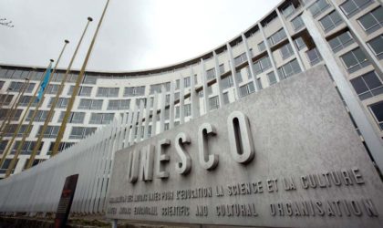 L’Algérien Toufik Hammoum reconduit à la tête du STAB de l’Unesco