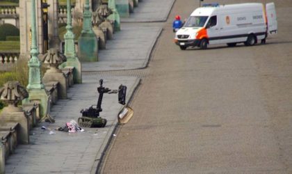 Une valise suspecte découverte près du Palais royal de Bruxelles