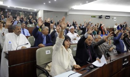 Le faux vote contre tamazight ou comment des médias ont été manipulés