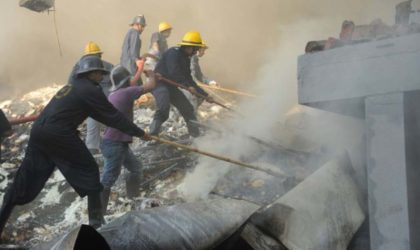 Explosion d’une centrale thermique en Inde : le bilan s’alourdit à 35 morts