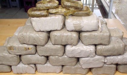 Affaire des 82 kilos de cocaïne : le procès en appel reporté au 29 novembre