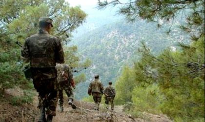 Jijel : des éléments de soutien aux groupes terroristes arrêtés