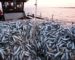 Pêche : un décret pour l’organisation des pêcheurs artisans en coopératives