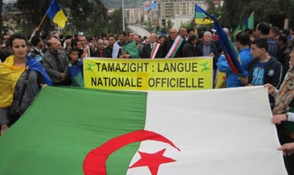 Tamazight : des partis et des syndicats demandent la promulgation d’une loi organique