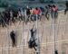 Algérie-Espagne : la circulation des personnes et les flux migratoires illégaux évoqués