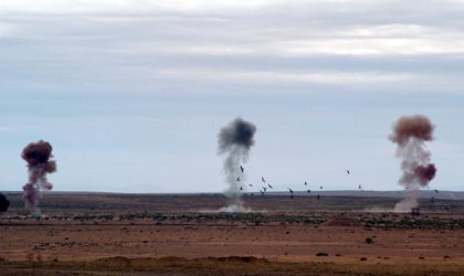 Convention d’Ottawa sur l’interdiction des mines antipersonnel : l’Algérie félicitée