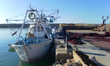 Affaire des sardines jetées à la mer : poursuites et sanctions contre les mis en cause
