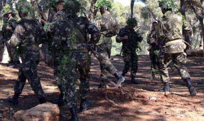 Lutte antiterroriste : destruction de 6 casemates par les forces de l’ANP à Jijel