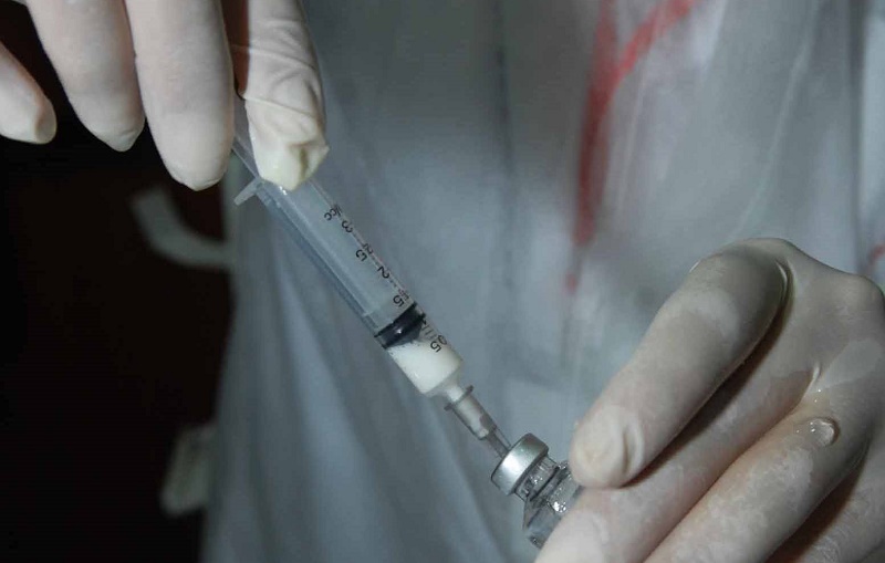 En Algérie, il n’existe aucun cas de grippe porcine