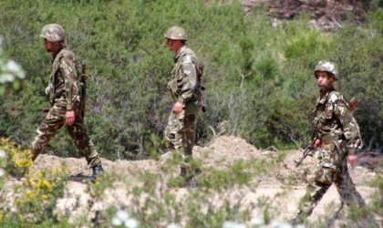 Opération antiterroriste en cours à Jijel : deux terroristes abattus