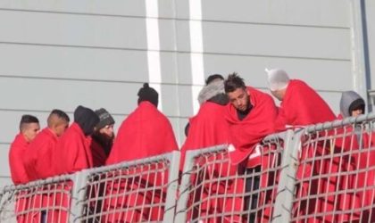 22 900 migrants clandestins algériens et marocains recensés en Espagne en 2017