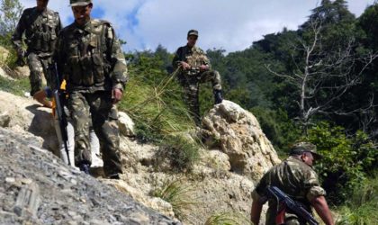 Destruction de deux casemates à Batna et trois bombes de fabrication artisanale à Tizi-Ouzou