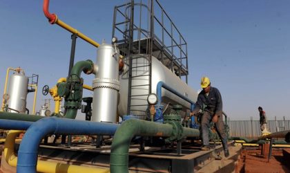 Sécurité énergétique régionale : Washington souhaite lancer un partenariat avec l’Algérie