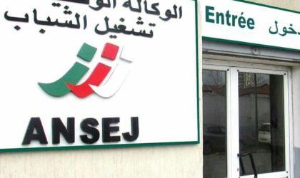 Algériens à l’étranger : des mesures pour faciliter la création de microentreprises en Algérie