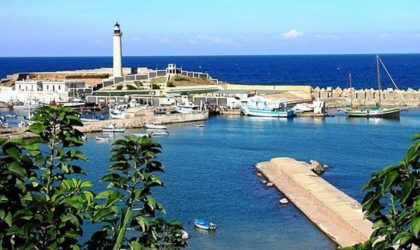 Port de Cherchell : un coût de réalisation estimé entre 5 et 6 milliards de dollars américains