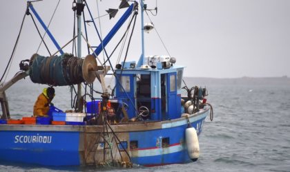Mostaganem : des pêcheurs remontent dans leurs filets un cadavre sans tête