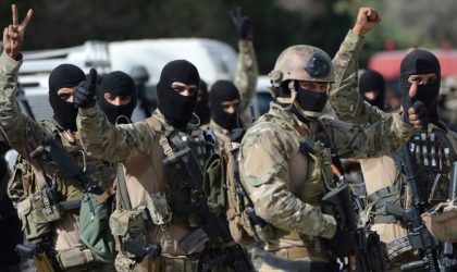 Le bras droit de Droudkel abattu dans une opération antiterroriste en Tunisie