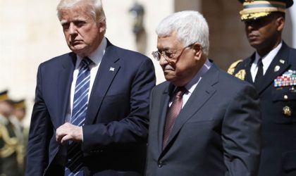 Selon CNN : Trump aurait accepté un plan de partition des territoires palestiniens occupés