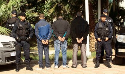 Arrestation de 530 suspects dans des affaires de stupéfiants en deux semaines