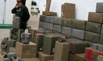 Drogue : arrestation d’un narcotrafiquant en possession de 47 kg de kif traité à Béchar
