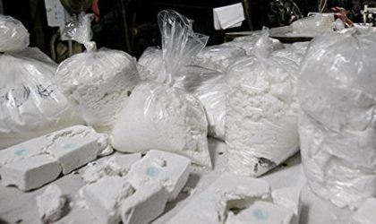 Saisie de 541 kg de cocaïne au Maroc destinés à inonder l’Afrique et l’Europe