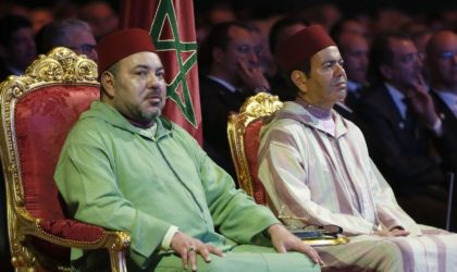 Dossier – Comment le Maroc détourne les ressources du Sahara Occidental (II)