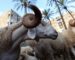 L’Algérie vue par The Guardian : moutons, jeunesse perdue et couvre-feu