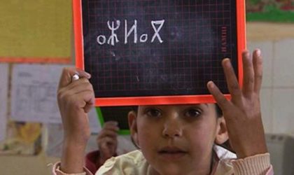 Généralisation de l’enseignement de tamazight aux 48 wilayas à la prochaine rentrée