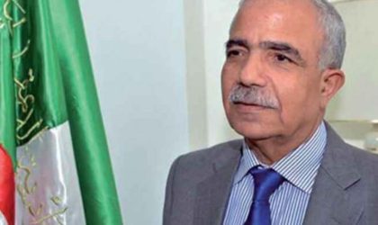 Vols aériens Alger-Tlemcen : le wali interpelle le PDG d’Air Algérie