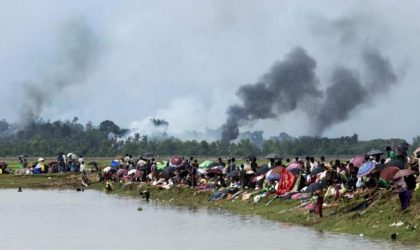 Birmanie : des villages rohingyas rayés de la carte