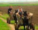 Royaume-Uni : 200 migrants esclaves découvert dans une ferme