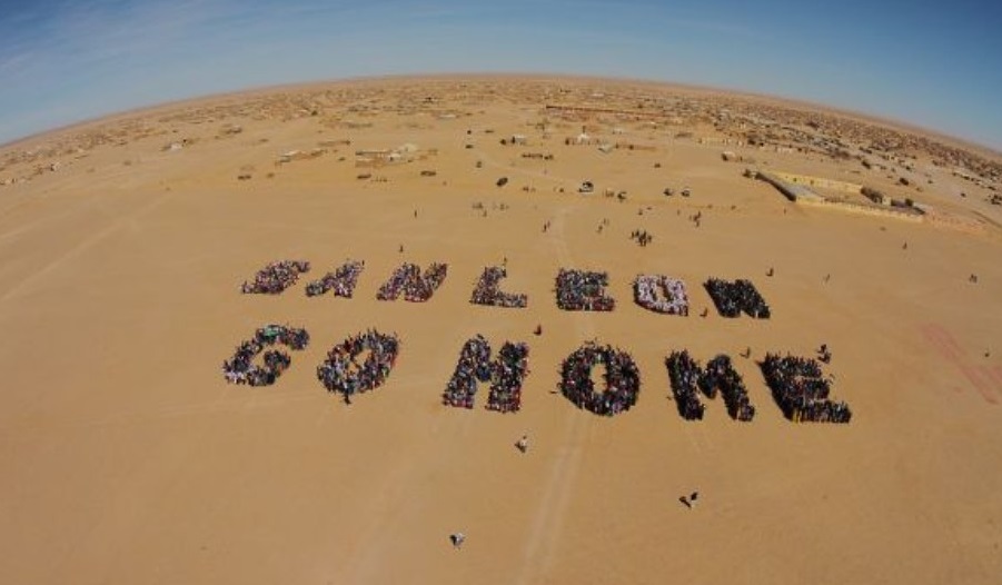 sahara occidentale Maroc pillage des ressources