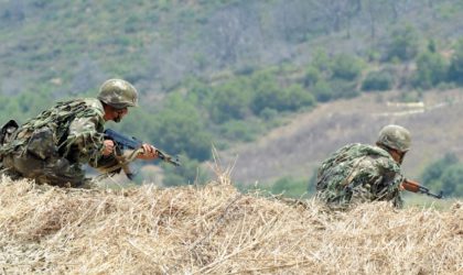 Lutte antiterroriste : 12 casemate et 23 bombes artisanales détruites à Tébessa, Batna et Skikda