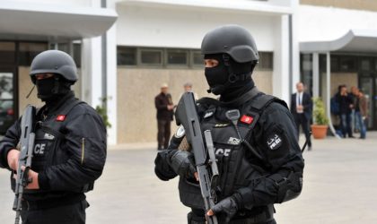 Tunisie : crime horrible commis par trois terroristes à Sidi Bouzid