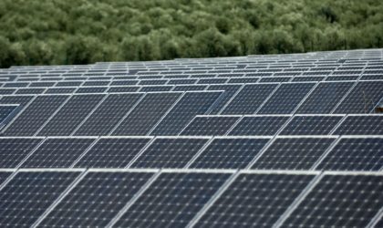 Energies renouvelables : l’Algérie veut se doter de sa propre industrie