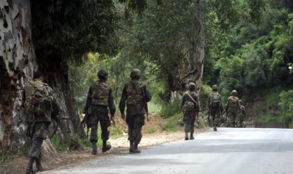 Reddition d’un terroriste en possession de deux pistolets mitrailleurs à Tamanrasset