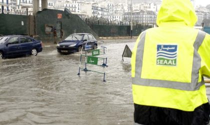 BMS : pluie et grêle affecteront plusieurs wilayas du centre et de l’est du pays