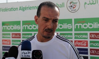 Ligue 1 Mobilis : Nabil Neghiz nouvel entraîneur de la JS Saoura