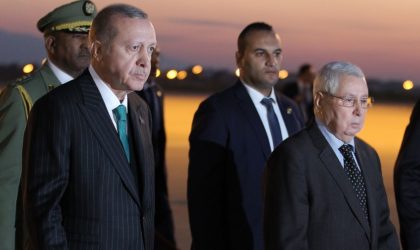 Suppression des visas entre l’Algérie et la Turquie : Alger dit non à Erdogan