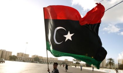 Manifestation pour soutenir l’armée libyenne et refusant l’intervention turque en Libye.
