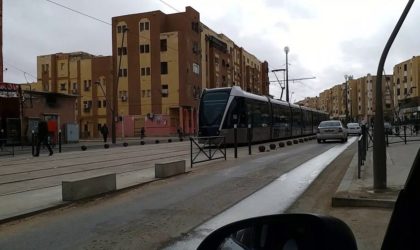 Ouargla : mise en exploitation commerciale du tramway 