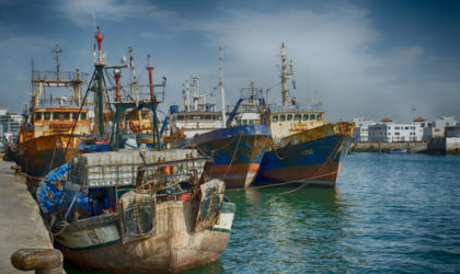 Accord de pêche UE-Maroc : l’Espagne appelée à se conformer à la décision de la CJUE