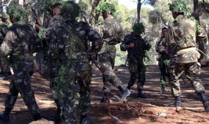 Un terroriste éliminé à Skikda et des casemate détruites à Boumerdès