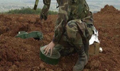 Mines antipersonnel datant de l’ère coloniale : 7 500 victimes recensées entre 1956 et 2017