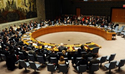 Sahara occidental : le WSAF interpelle l’ONU pour mettre fin à l’impunité marocaine