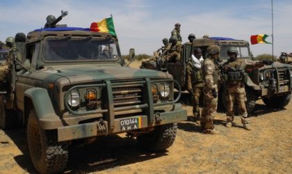 Mali : une quarantaine de civils touareg massacrés près du Niger