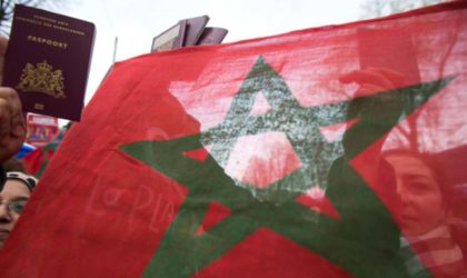 Dégoutés par le Makhzen : les Marocains toujours plus nombreux à changer de nationalité