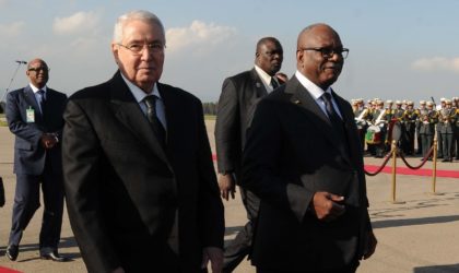 Rumeurs sur une crise : qui veut saboter les relations algéro-maliennes ?