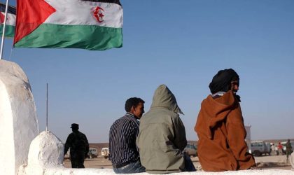 Le peuple sahraoui lance une campagne de solidarité pour l’Algérie
