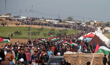 L’exode des familles palestiniennes.. Encore une fois